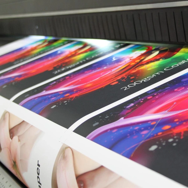 Poster Paper Material Image